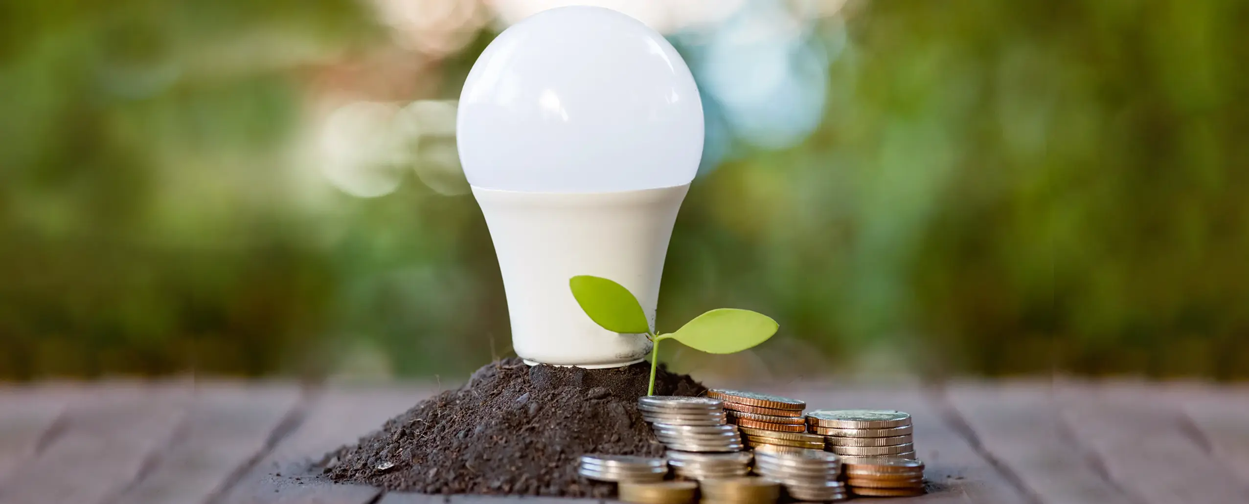 LED lightbulb depicting energy rebates, financing and tax credits