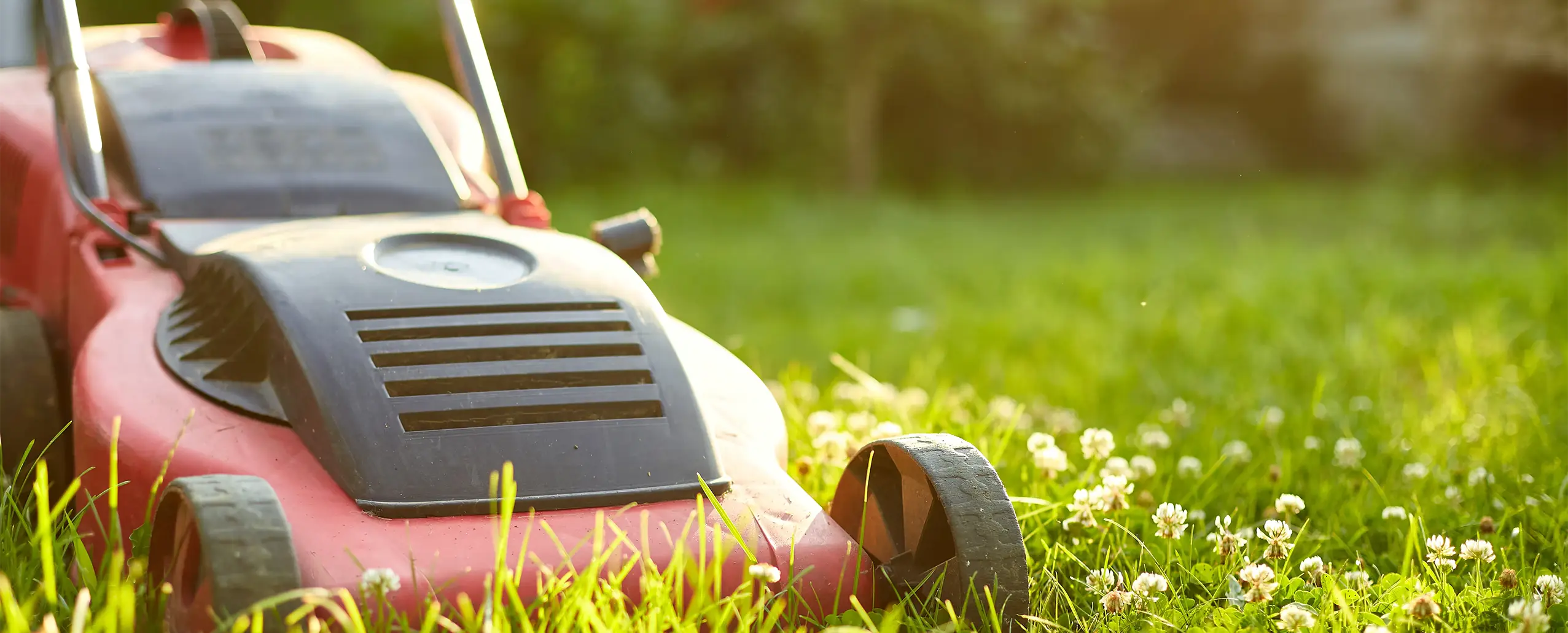 Switch to Electric Lawn Care